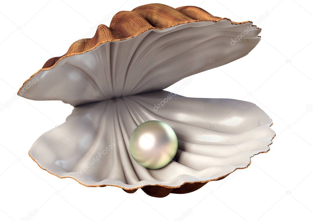 A 3d illustration of a seashell with pearl on a white background