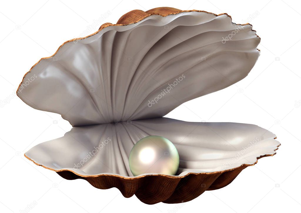 A 3d illustration of a seashell with pearl on a white background