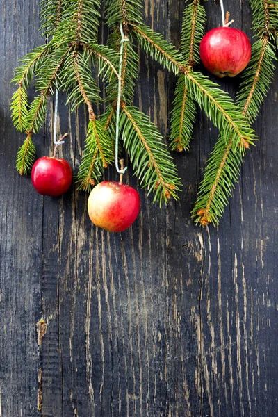 Karácsonyi csendélet almákkal — Stock Fotó