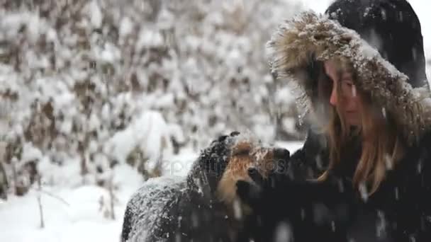 Девушка и собака на снегу — стоковое видео