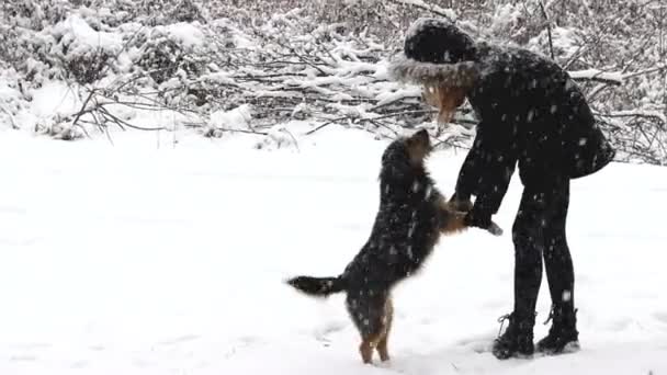 Niña disfrutando de invierno con perro — Vídeo de stock