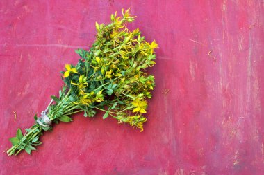 St John's wort veya Hypericum perforatum