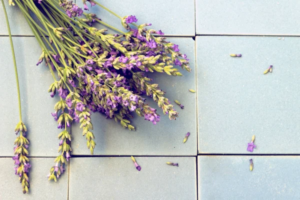 Flores de lavanda em azulejos de cerâmica azul — Fotografia de Stock