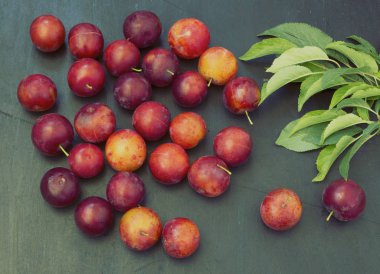 Taze ve lezzetli kırmızı Erik