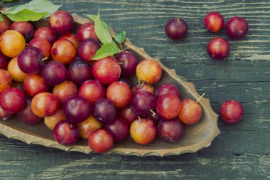 Kırmızı Erik meyve