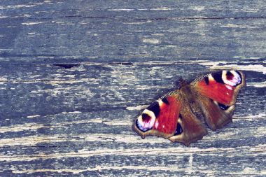 Kelebek desenli ahşap yüzeyde
