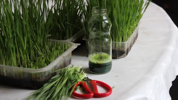 Weizengras Und Eine Flasche Frisch Gepressten Grünen Saft — Stockvideo