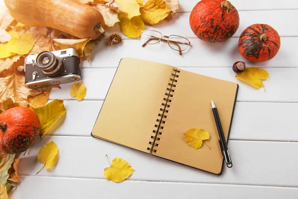 Herfst Achtergrond Met Pompoenen Bladeren Camera Kladblok — Stockfoto