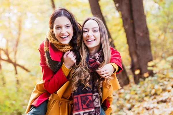 Two Beautiful Young Women Enjoying Park Autumn Day Royalty Free Stock Photos