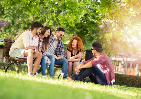 公園のベンチに屋外楽しみを持つ若い人々 のグループ — ストック写真