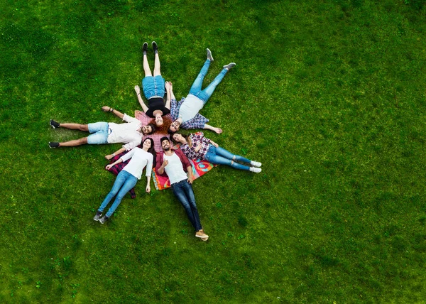 Daire, mutlu, çim döşeme gençlerin havadan görünümü gülümseyen