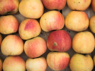 Piyasada satışa sarı kırmızı elmalar