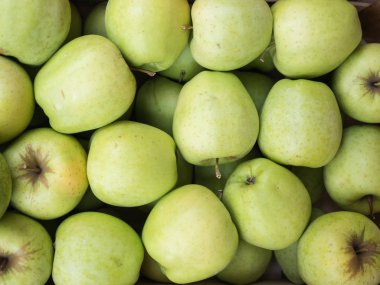 Piyasada satışa yeşil elma