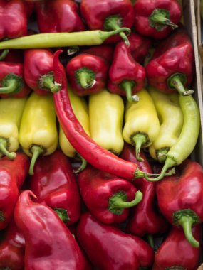 Zemin yığılmış renkli biber