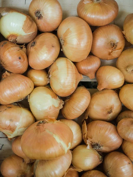 Yellow onion on sale at the market