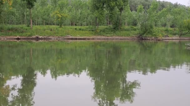 Bateau à moteur flottant au bord de la rivière, eau ondulante, trace de bateau à moteur, été, arbres verts — Video