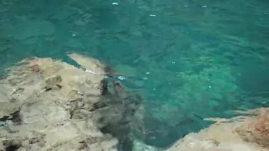 Kristal berraklığında sörf, su, derinlik ve kayaların üzerinden görünümü.