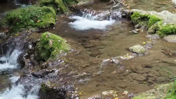 Små vattenfall i skogen. Rent färskt vatten vattenfall — Stockvideo