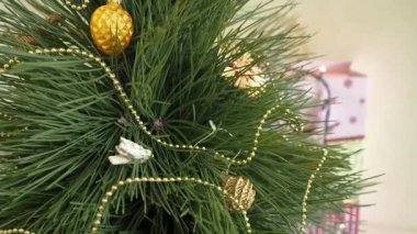 Adam bir Noel ağacı süsle.