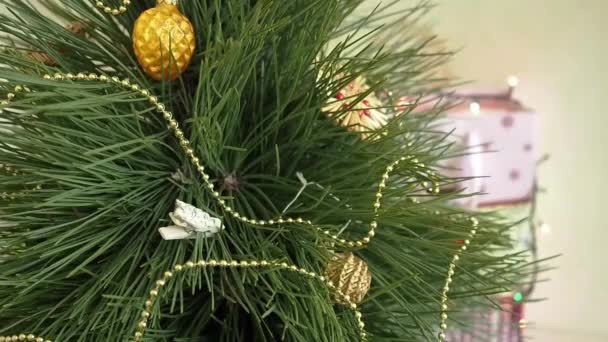 Άνθρωπος διακοσμεί χριστουγεννιάτικο δέντρο. — Αρχείο Βίντεο