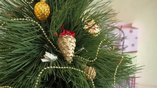 El hombre decora un árbol de Navidad . — Vídeo de stock