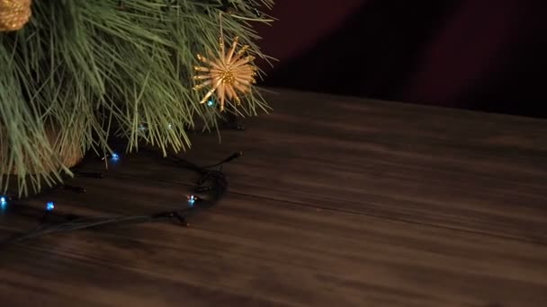 Vánoční věnec na větve stromů jedle. Větve stromů blízko, posunout pohybem, panorama