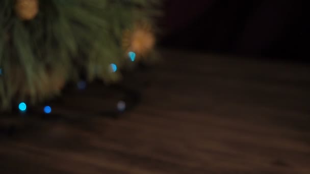 Θολή φόντο, Χριστουγεννιάτικη γιρλάντα στα κλαδιά δέντρων ελάτης. — Αρχείο Βίντεο