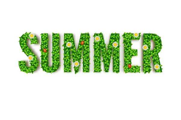 여름 인사말 카드, 대문자 및 꽃 딱정벌레, 녹색 잎 비문 무당벌레 — 스톡 벡터