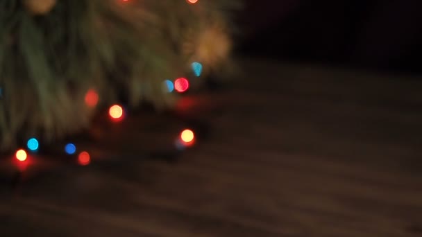 Θολή φόντο, Χριστουγεννιάτικη γιρλάντα σχετικά με τα κλαδιά του δέντρο έλατο. Δέντρο κλαδιά μετατόπιση κίνηση, Πανόραμα — Αρχείο Βίντεο
