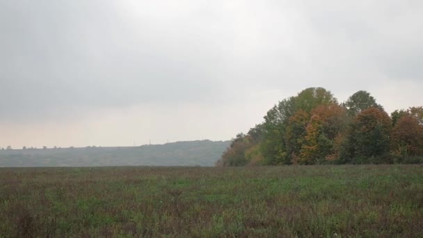 Das panorama der ländlichen landschaft — Stockvideo