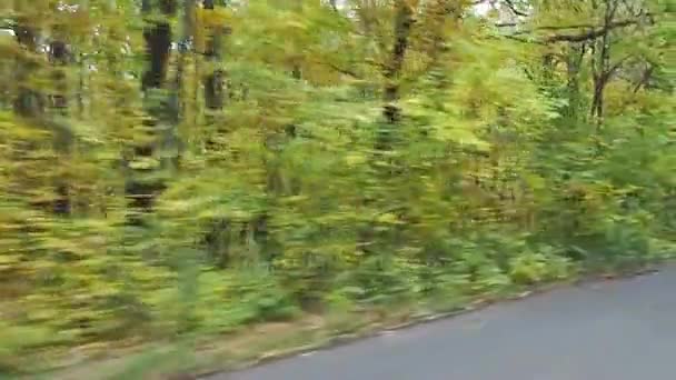 Video de la conducción a través del colorido bosque otoñal en la alta velocidad — Vídeo de stock
