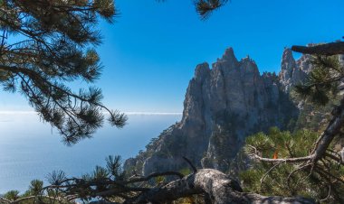 Arka plan satırları bulutlar ve ladin yeşil dallar üzerinden deniz kayalıklarla görüntüleyin.