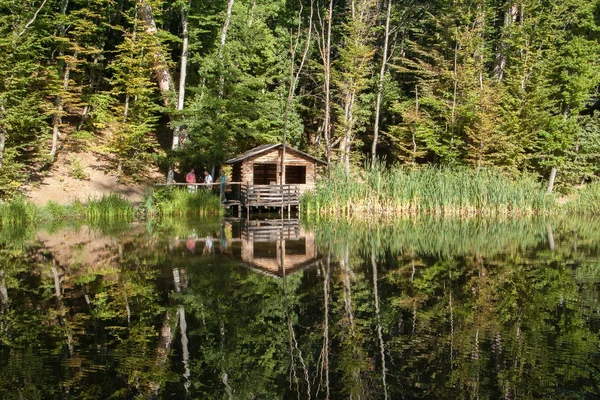 Wooden house in the forest above the lake with reflection.