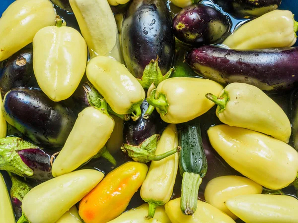 Light green pepper, green zucchini and eggplant, dark blue. Vegetables floating in the water, photographed from the top. Large group of fresh vegetables