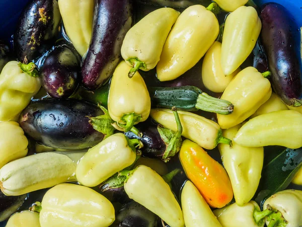 Light green pepper, green zucchini and eggplant, dark blue. Vegetables floating in the water, photographed from the top. Large group of fresh vegetables