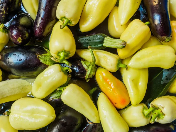 Light green pepper, green zucchini and eggplant, dark blue. Vegetables floating in the water, photographed from the top. Large group of fresh vegetables