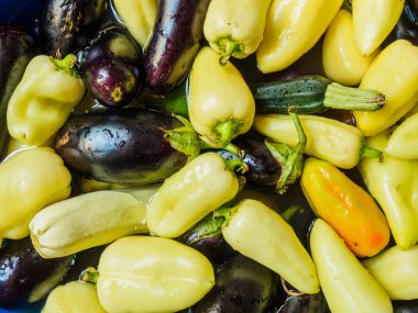 Işık yeşil biber, yeşil kabak ve patlıcan, koyu mavi. Sebze en baştan fotoğraflandı suda yüzer. Taze sebze büyük grup