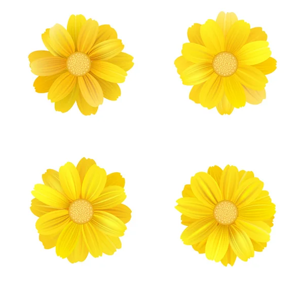 İzole sarı gerbera ve daisy kümesi. Vektör beyaz arka plan üzerinde renkli çiçekler. T-shirt, moda, parmak izi ve diğer tasarım şablonu — Stok Vektör