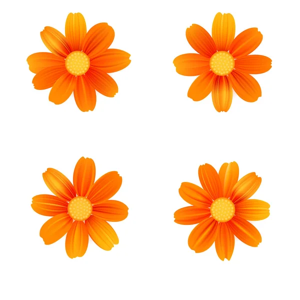 Uppsättning av isolerade gula gerbera eller daisy. Vector färgglada blommor på vit bakgrund. Mall för för t-shirt, mode, utskrifter och andra design — Stock vektor