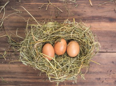 Kahverengi yumurta saman içinde iç içe. Kırsal çevre kahverengi tavuk yumurtası ve saman eski ahşap plakalar arka plan üzerinde arka plan. Üstten Görünüm. Paskalya kartları veya Restoran Menü yaratıcı arka plan