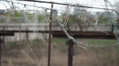 Sebze, bağlama için sebze Bahçe, ipi bulutlu bir bahar gününde rüzgarda sway. Ayrıntı domates ve bir evin bahçesinde yetiştirilen diğer bitkiler için kullanılan halatlar