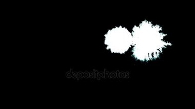 Bir mürekkep damlası. Siyah arka plan üzerine mürekkep sıçramak tersine çevirin. Karıştırma modlarında maske olarak kullanmak için iyi. Beyaz zemin üzerinde sıçrama genişletilmesi. Yatay Hd mürekkep damlar ve video sıçramak