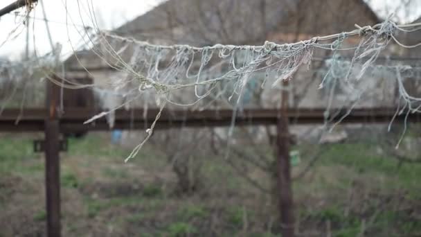 El huerto, la cuerda para atar las verduras, se balancean en el viento en un día nublado de primavera. Detalle de cuerdas utilizadas para tomates y otras plantas cultivadas en un jardín de casa — Vídeos de Stock