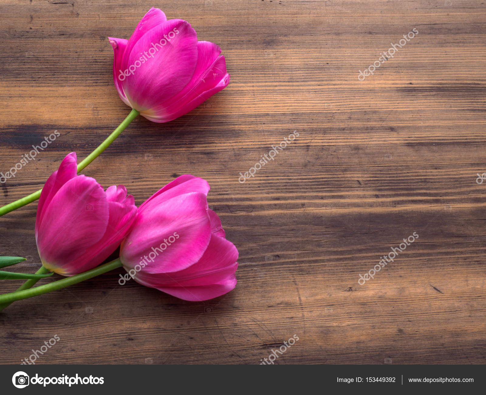 pink tulips floral arrangement on wooden background from old boards
