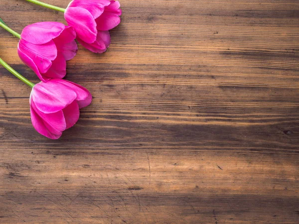 Pembe Lale, çiçek düzenleme eski kurulları ahşap arka plan ve iletiler için bir alan. Anneler günü, 8 Mart için arka plan ve güzel kadınlar için diğer tebrik kartları. Yumuşak odak, üstten görünüm