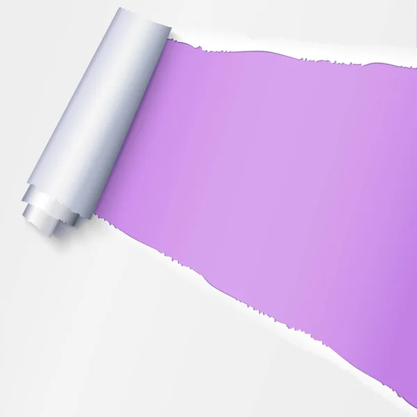 現実的な引き裂かれた開いている紙、紙の穴を紫色の背景上のテキストのためのスペース。不均一な引き裂かれたエッジを持つ破れた紙片。破れた紙片を巻き. — ストックベクタ