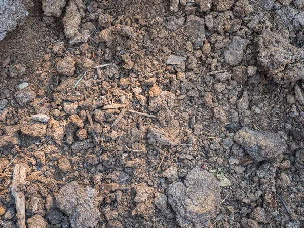 Kuru humus yakın çekim doku. Ekili toprak, toprak zemin, kahverengi arazi arka plan. Organik tarım, bahçecilik. Çevre doku, desen. Alan yakın çekim çamur