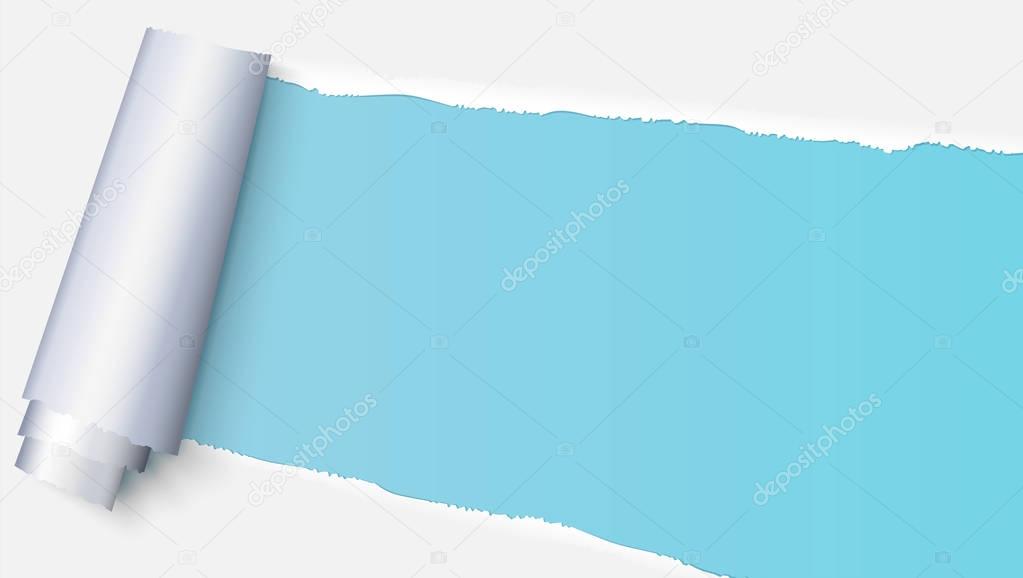 Realistic torn open paper with space for text on blue background, holes in paper. Torn strip of paper with uneven, torn edges. Coiling torn strip of paper.