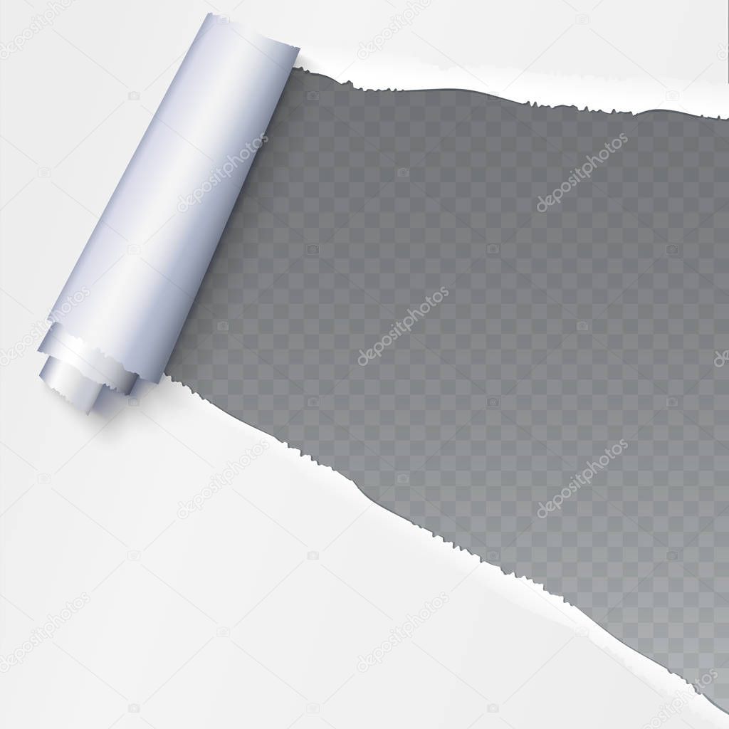 Realistic torn open paper with space for text on transparent background, holes in paper. Torn strip of paper with uneven, torn edges. Coiling torn strip of paper.