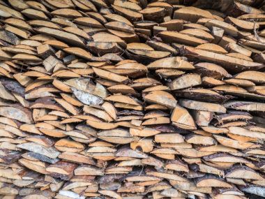 Panoları birbiri üstüne yığılmış. Çam, sonunda görünümünü panoları. Kesme tahtaları yalan. Ev Isıtma ve çıra yakacak odun. Soba için odun. Ahşap dokulu arka plan